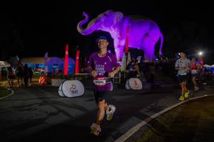 BIB: 
                            <button type="button" onclick="openModal(26552028)" class="btn btn-primary btn-sm float-right btn-popup" data-toggle="modal" data-target=".modal-high-quality">
                        <i class="fas fa-shopping-cart"></i> Add to Cart
                    </button>
                                            <button type="button" onclick="isThisMe(26552028, true)" class="btn btn-success btn-sm float-right btn-popup btn-isme hidden" data-toggle="tooltip" data-placement="bottom" title="นี่คือรูปของคุณใช่ไหม คลิกที่นี่เพื่อเอาเข้าอัลบั้ม">
                        <i class="fas fa-plus"></i> Add to album
                    </button>
                    <button type="button" onclick="isThisMe(26552028, false)" class="btn btn-warning btn-sm float-right btn-popup btn-isnotme hidden">
                        <i class="fas fa-ban"></i> Remove from album
                    </button>